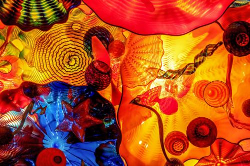 2017travellingus0167