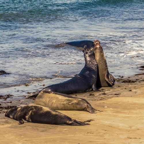 2017travellingus0189