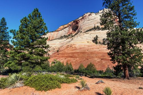 2017travellingus0217