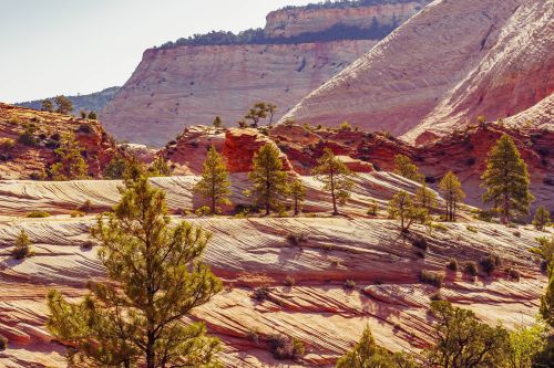 2017travellingus0218