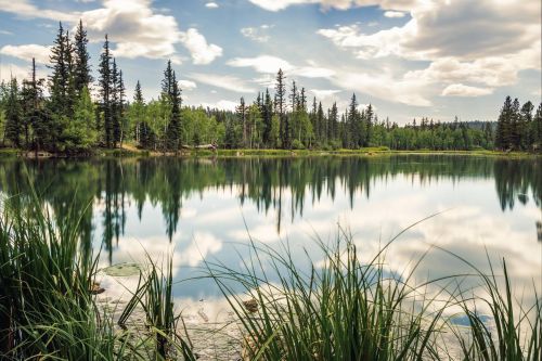 2017travellingus0221