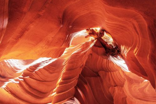 2017travellingus0233