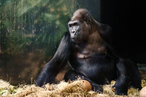 2017travellingus0248