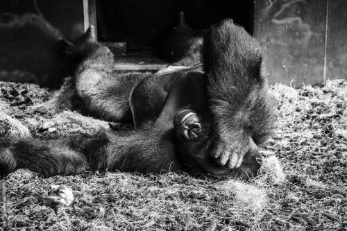 2017travellingus0249