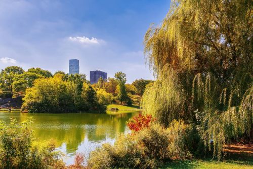 2017travellingus0277